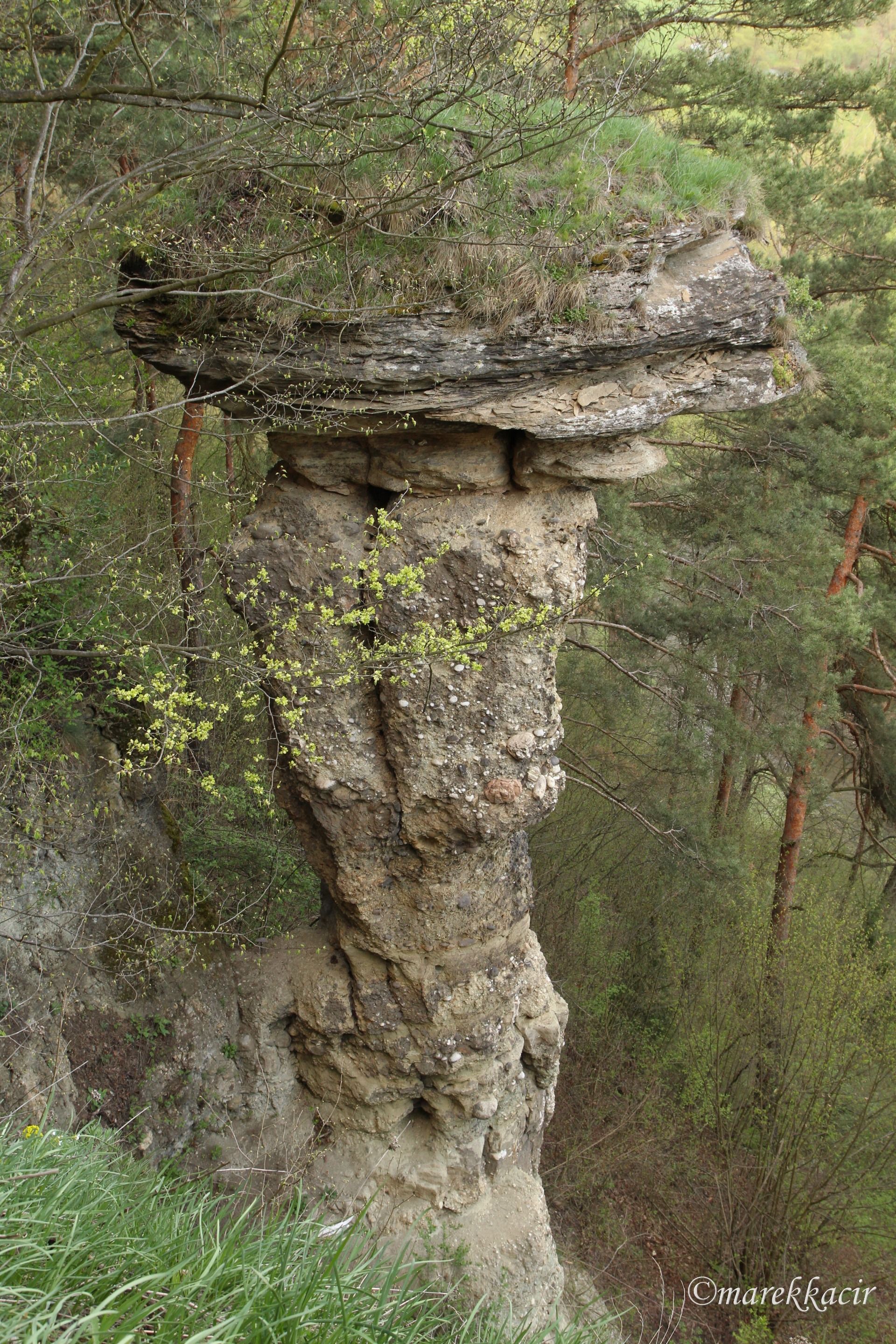Stone mushroom