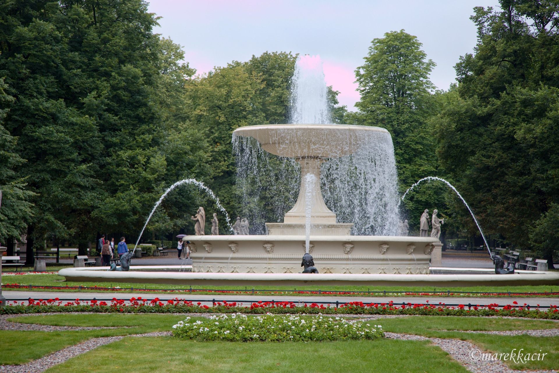 Saski’s Garden