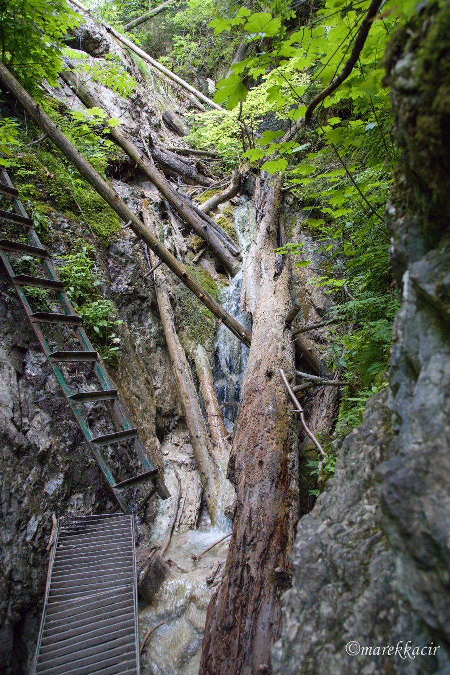 Cascades of Gustav Nedobrý