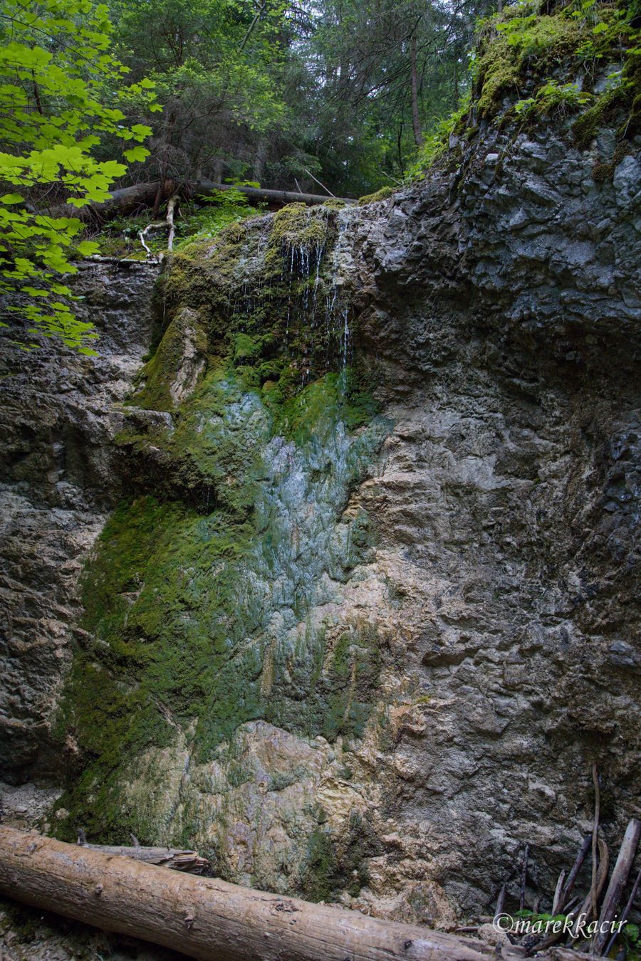 Machový waterfall