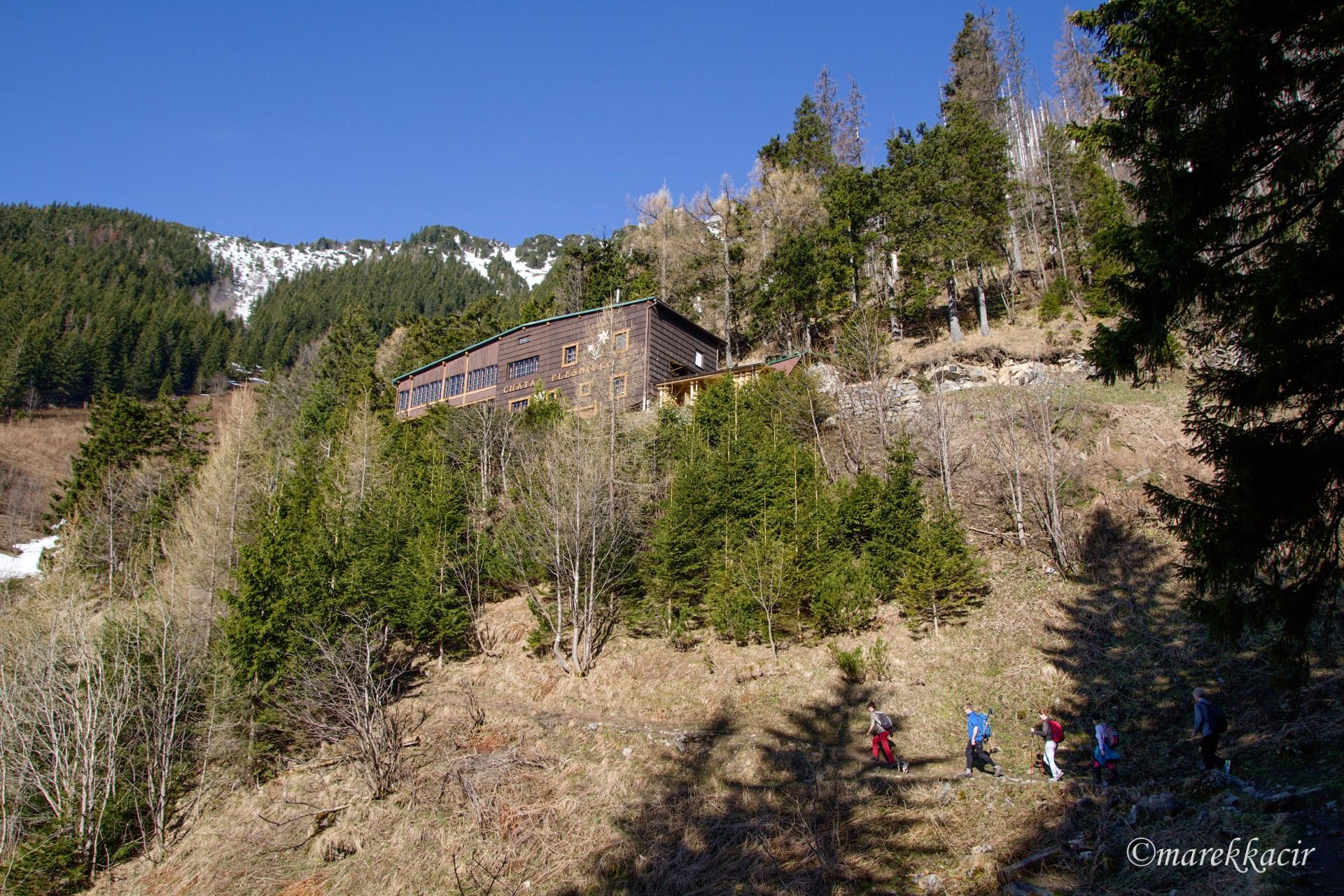 Cottage Plesnivec