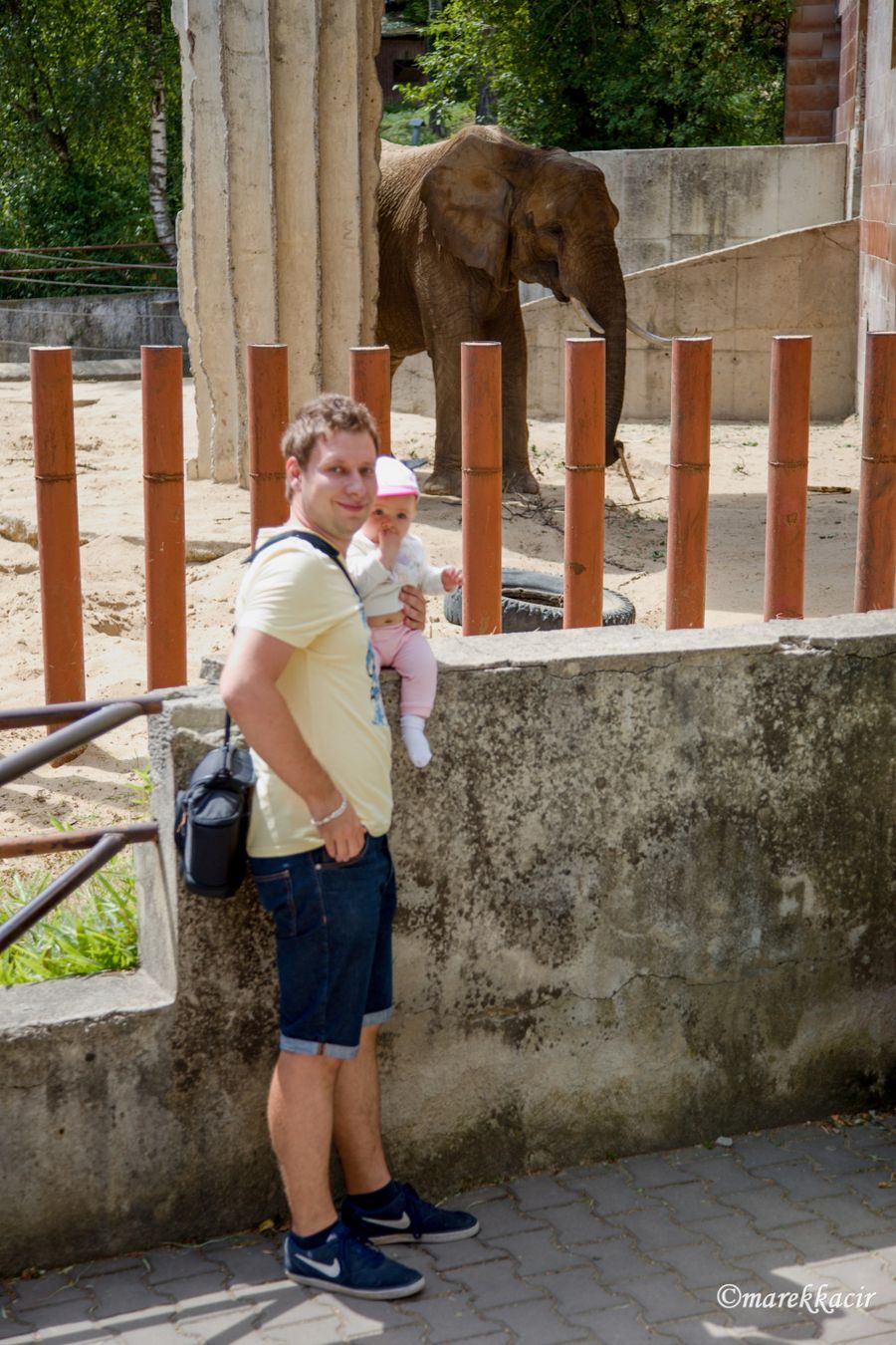 Elephant, I and my daughter