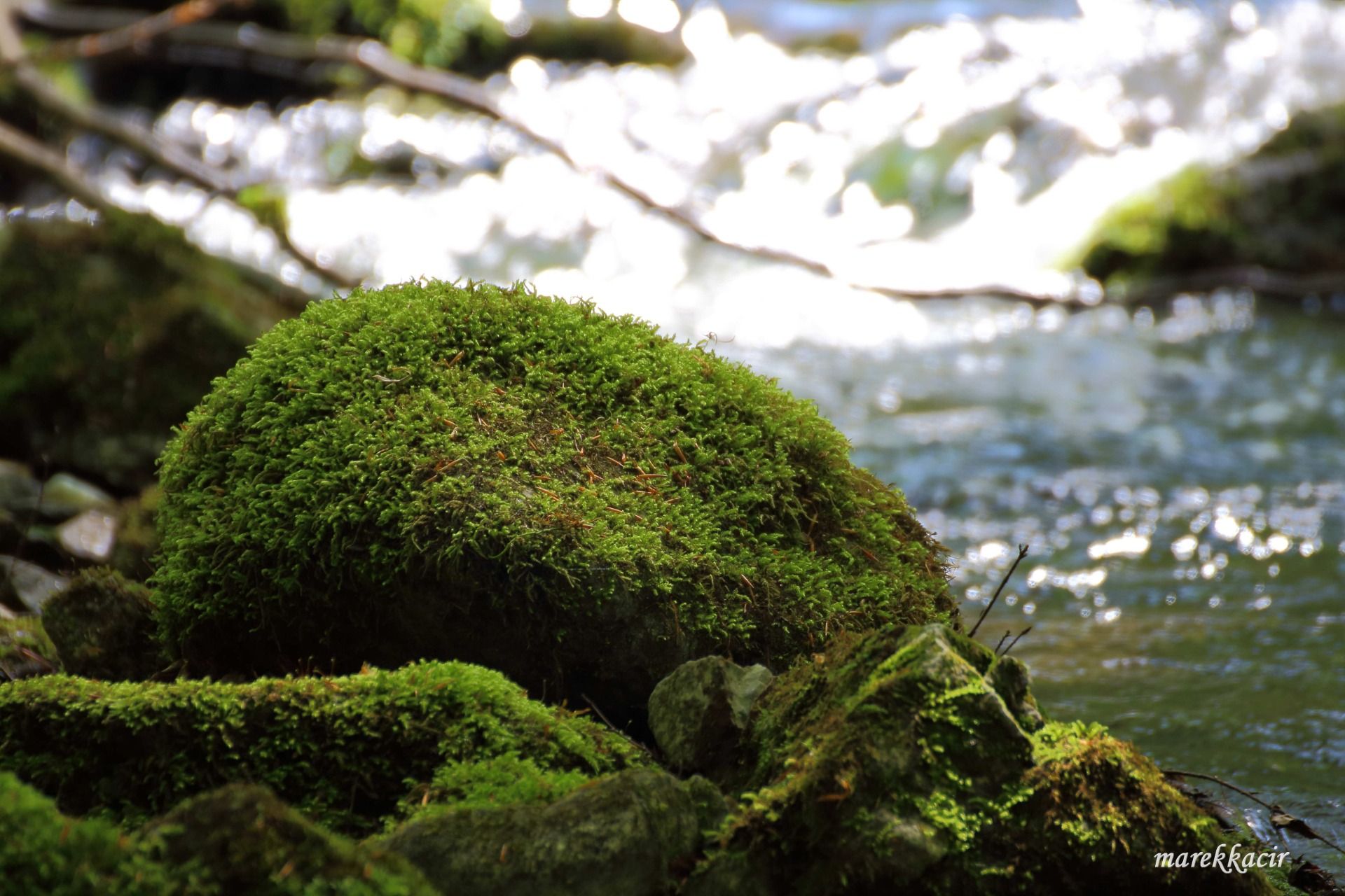 Hiking to Falcon valley