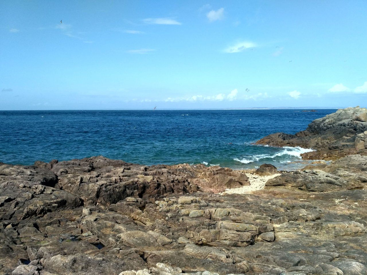 745.jpg
