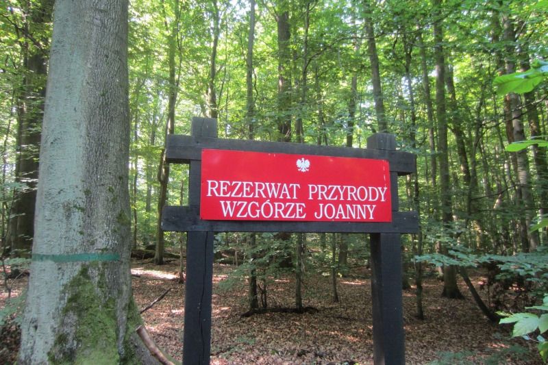 Najlepszy post tagu #pl-travelfeed - Tydzień 87