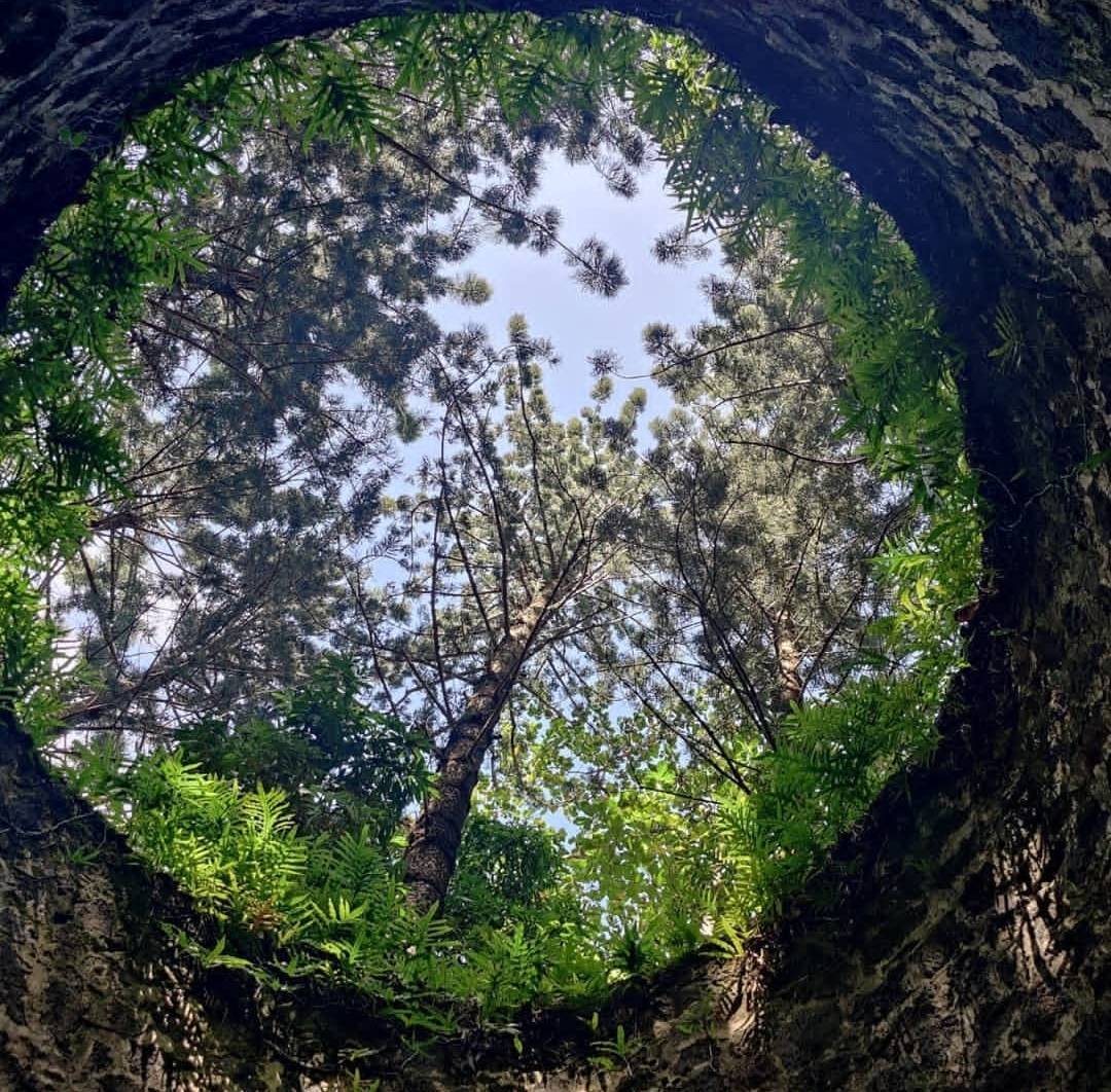 Shot from inside a well at Bras D’eau by my nephew who recently went there again!