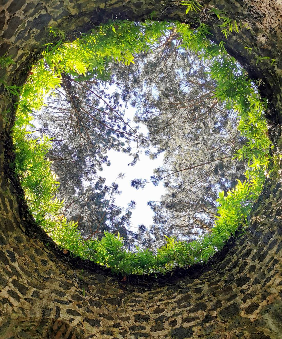 From the inside of the well...