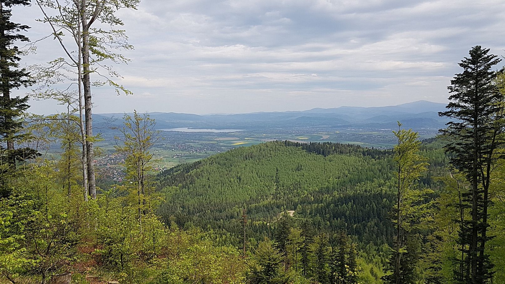 Rodzinna wycieczka do lasu -  Becyrek 862 m n.p.m.