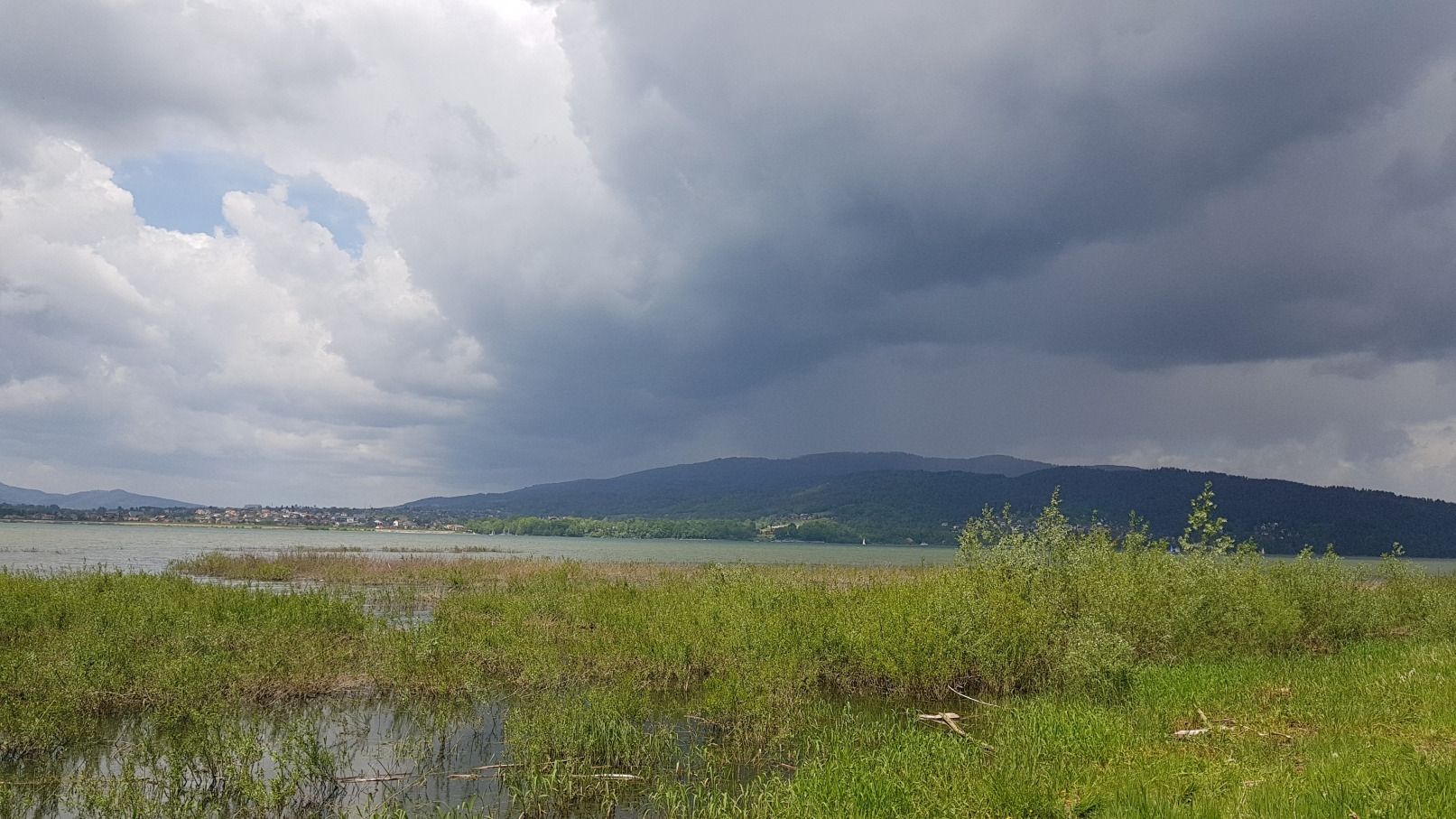 (widok do przodu)