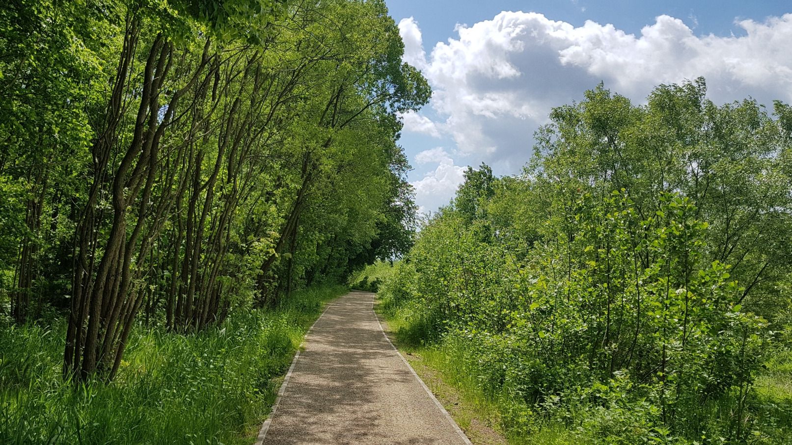 (widok do tyłu)