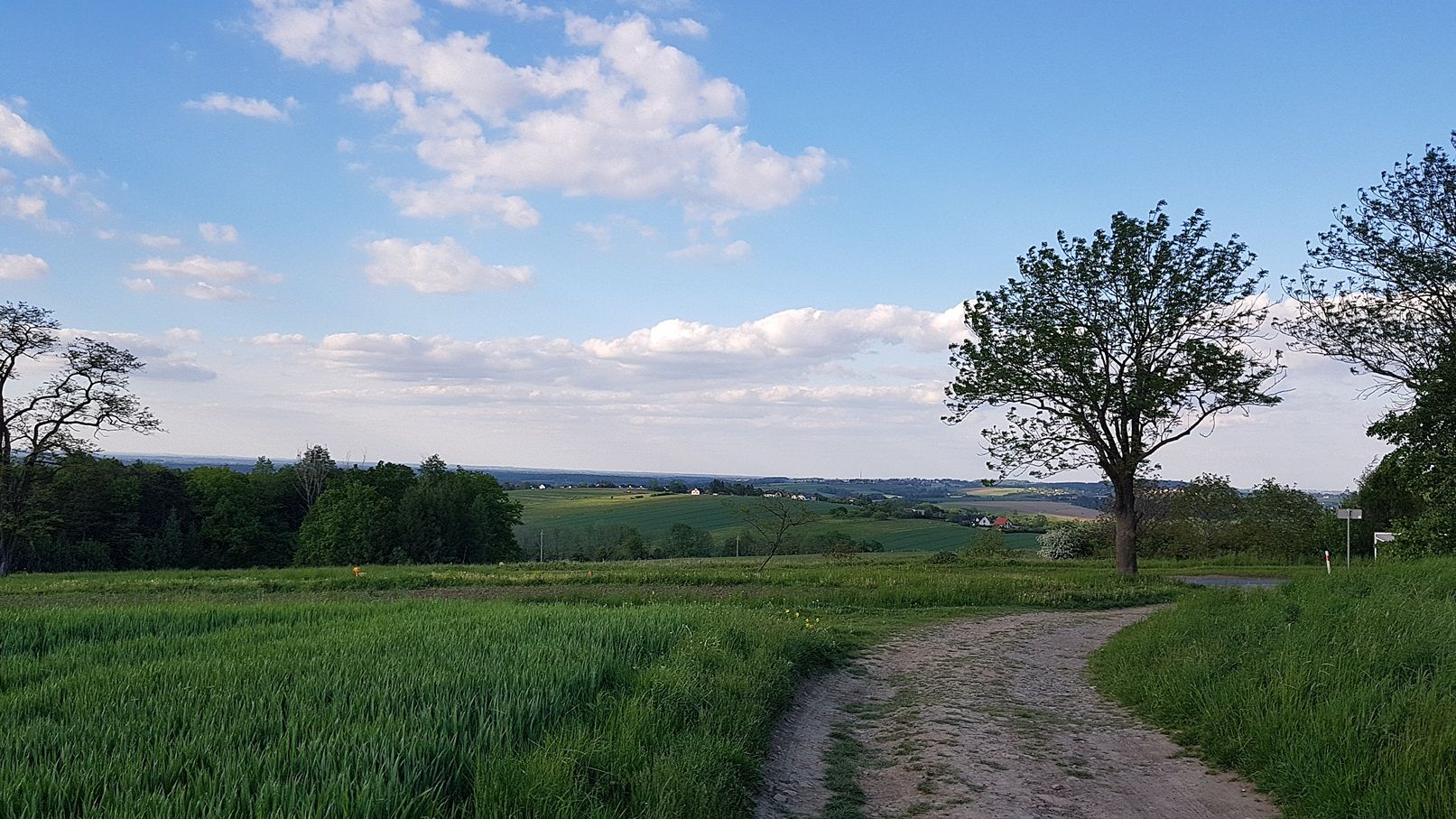 Przyśpieszony Dzień Dziecka.