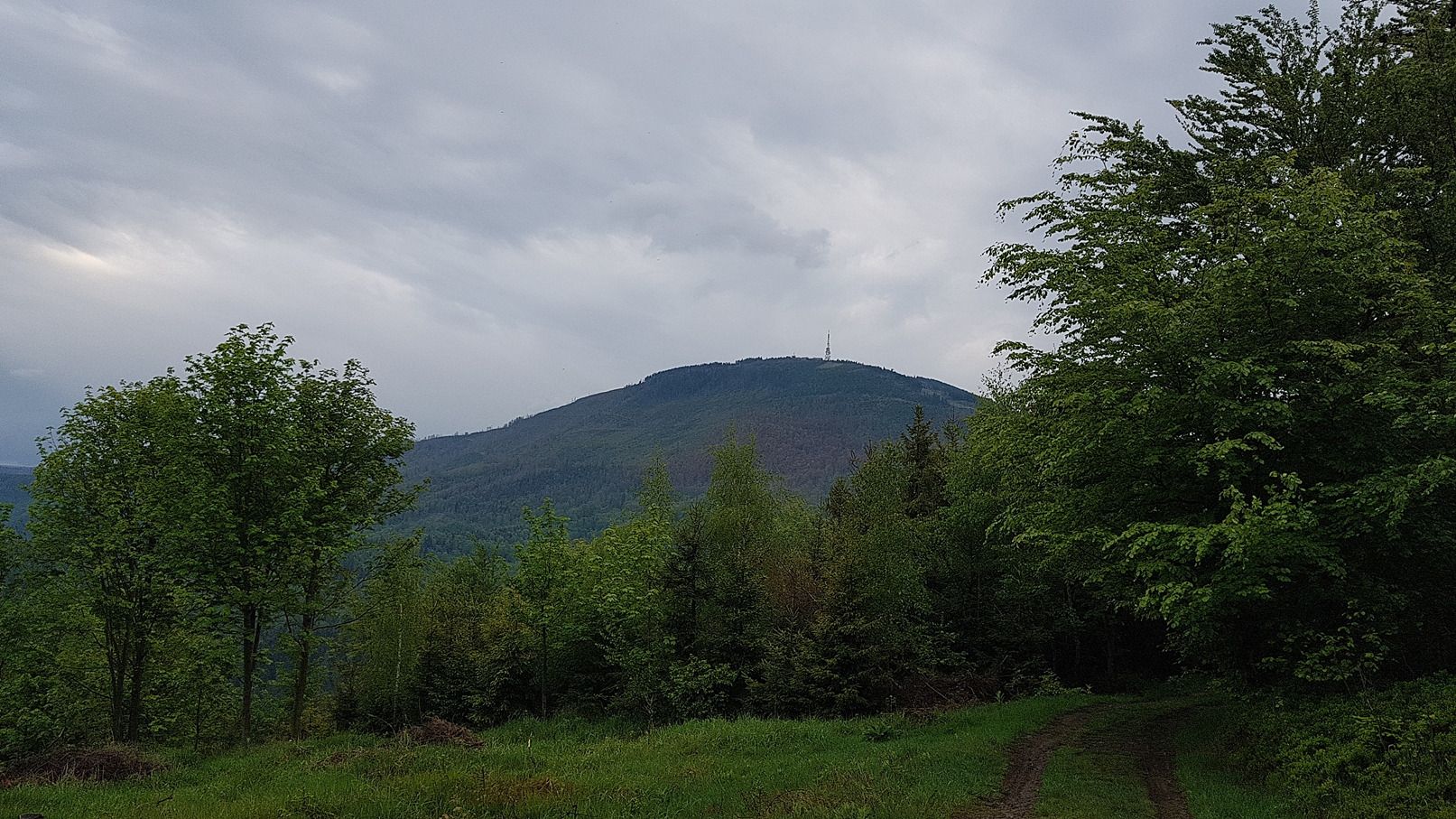 Forest trip with friends.