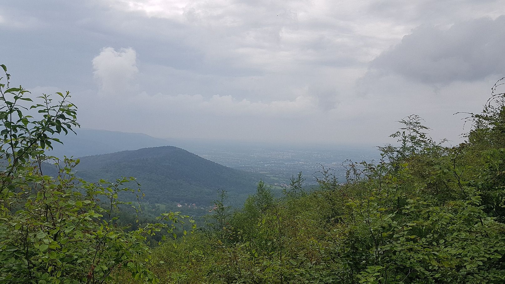 Deszczowo i mgliście - Magurka Wilkowicka.