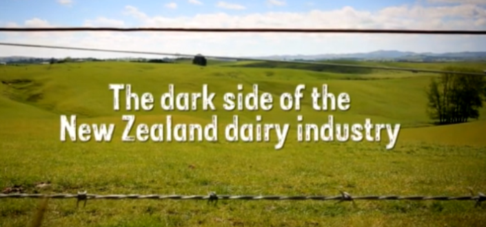 Food and Health: our thoughts after travelling through Eurasia