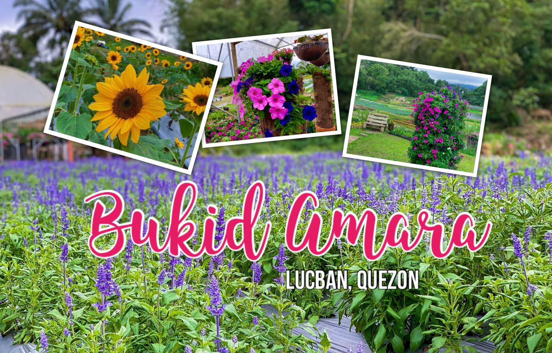 Bukid Amara | Lucban, Quezon