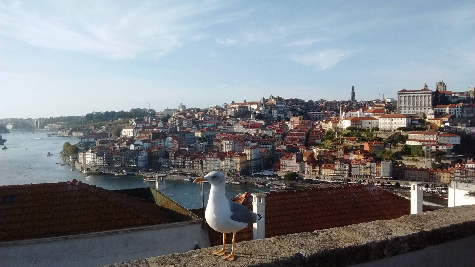 All pictures taken in 2018, in Porto, Portugal.