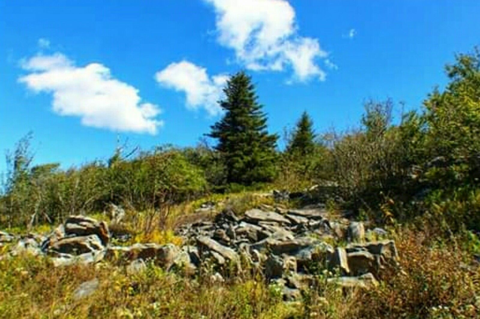 Paharpur in Bangladesh 