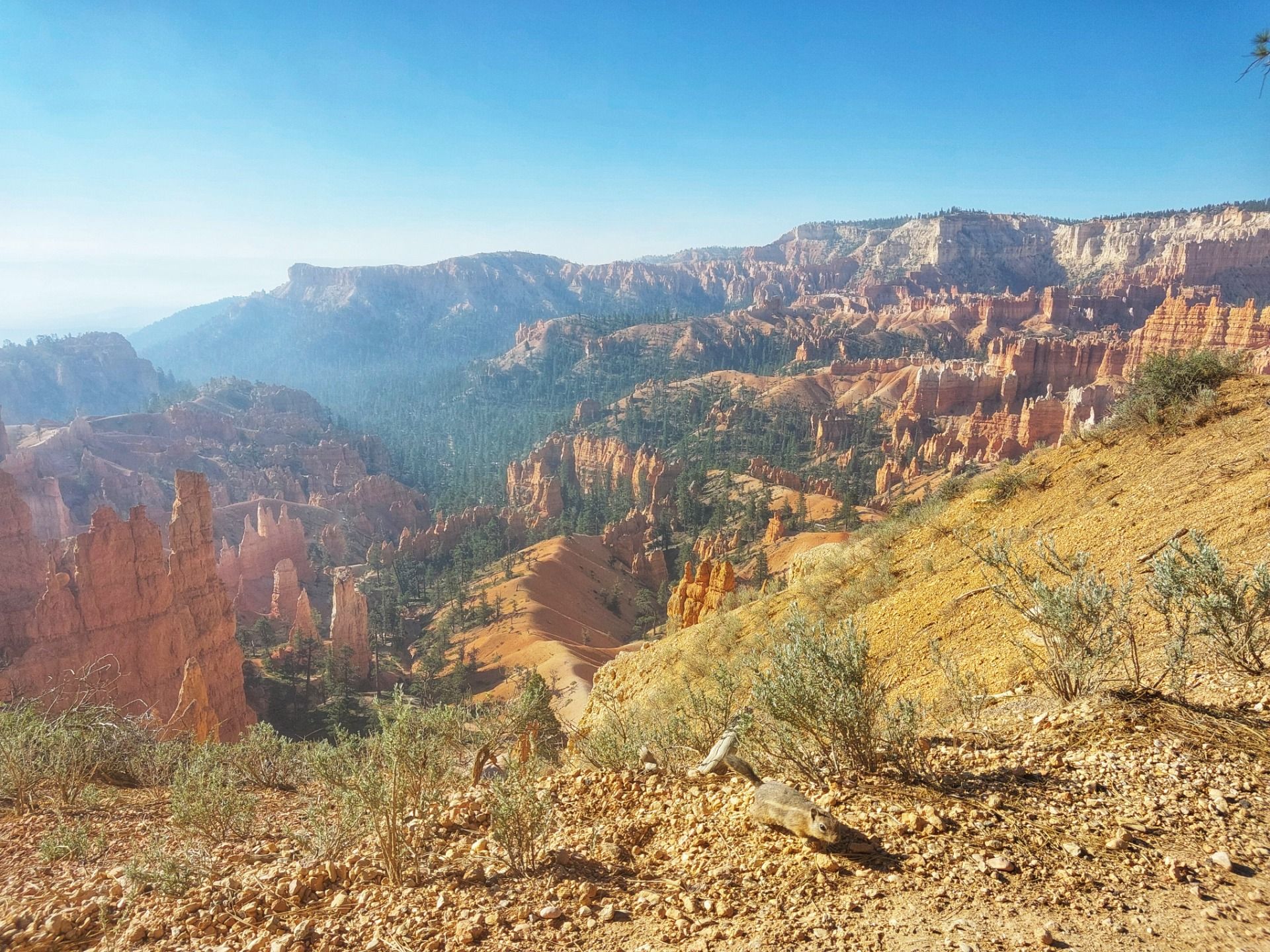 Hitze, Hoodoos & Chipmunks – Mit dem Motorrad durch Utahs Canyonwunder