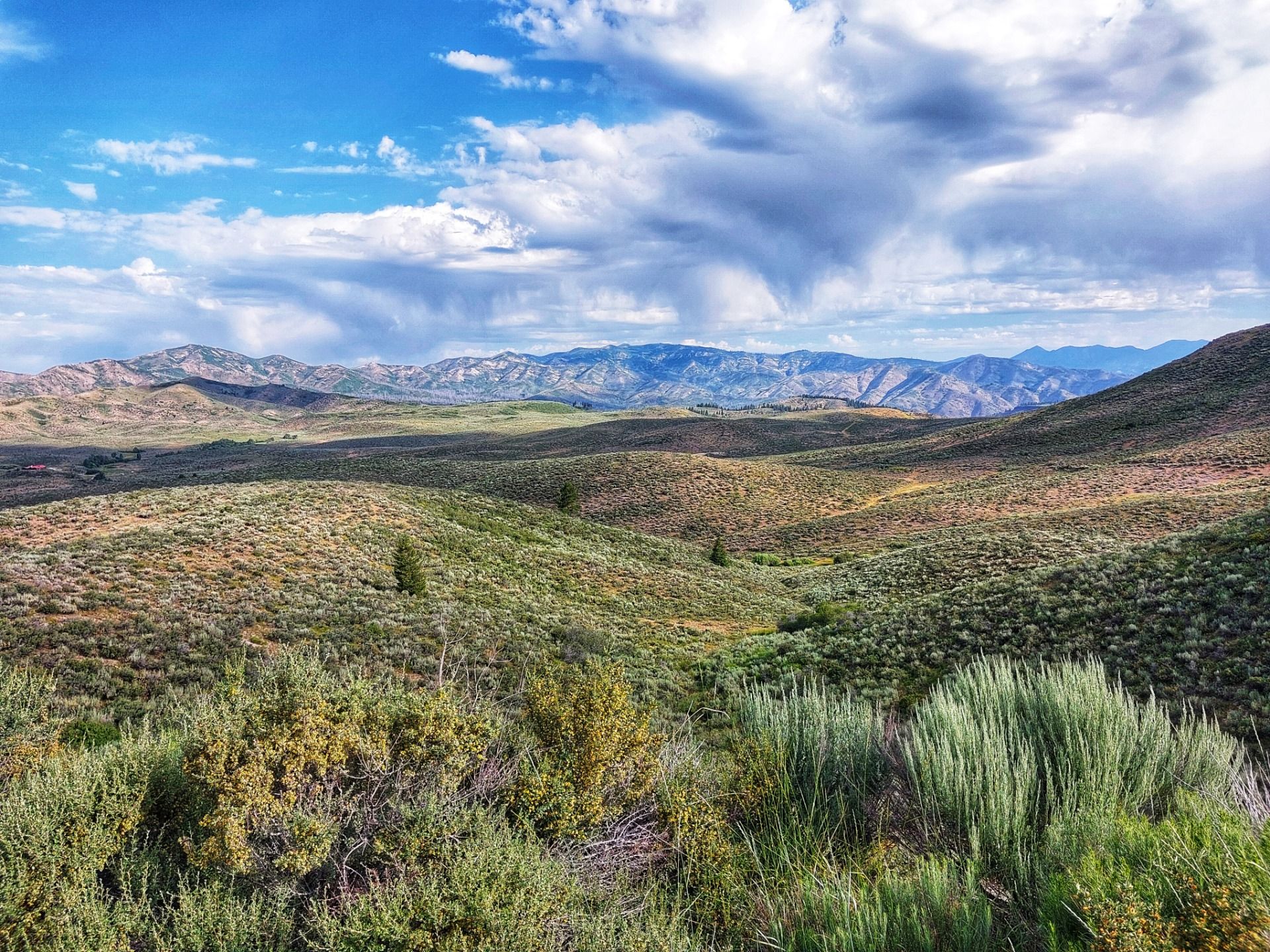 Über den Wolken in Idaho – Ein Tag voller Hitze, Kälte, Flüsse und Finger Steaks