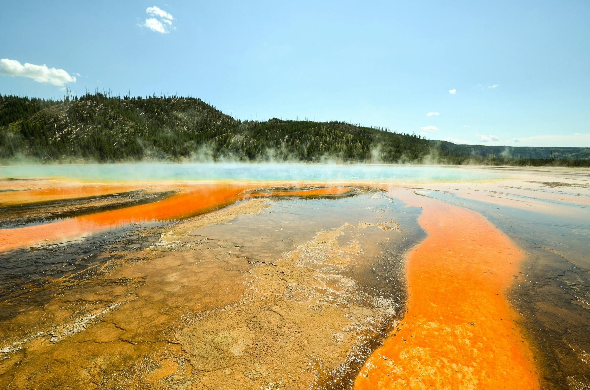 Yellowstone – Eiskalte Finger, Bisons auf der Straße und ein Elch vorm Zelt
