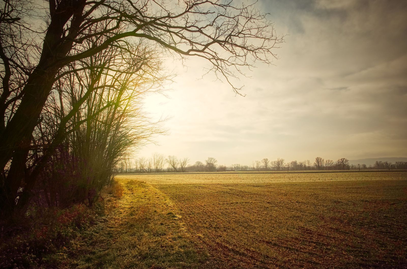 "tut gut" hiking trail Grafenegg - Route 2: "along the Kamp river"