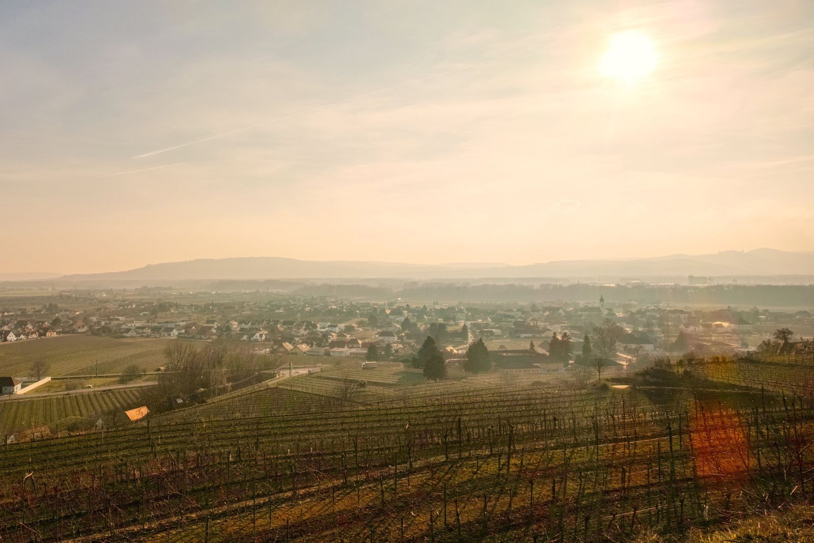 "tut gut" hiking trail Rohrendorf - Route 1