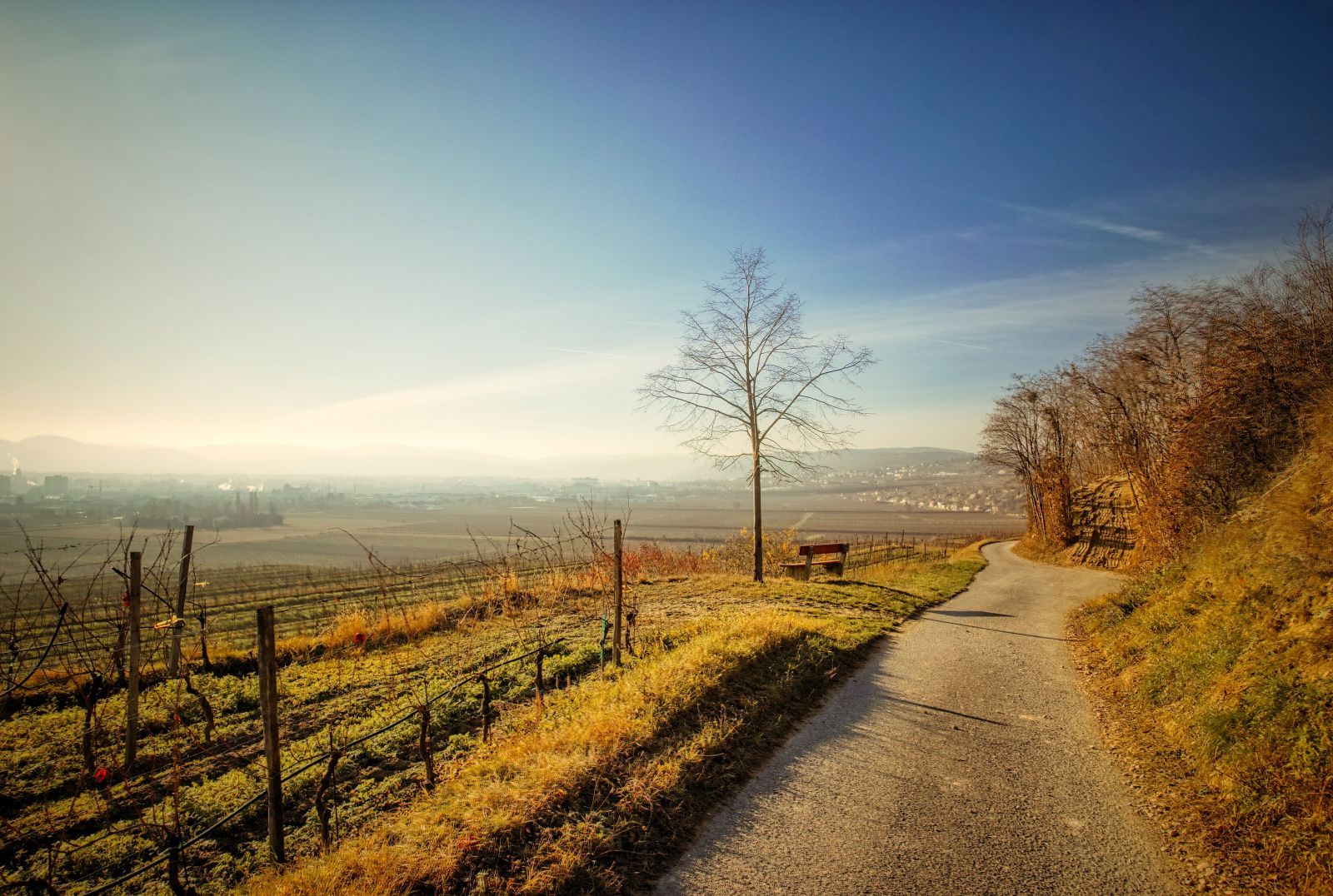 "tut gut" hiking trail Rohrendorf - Route 2