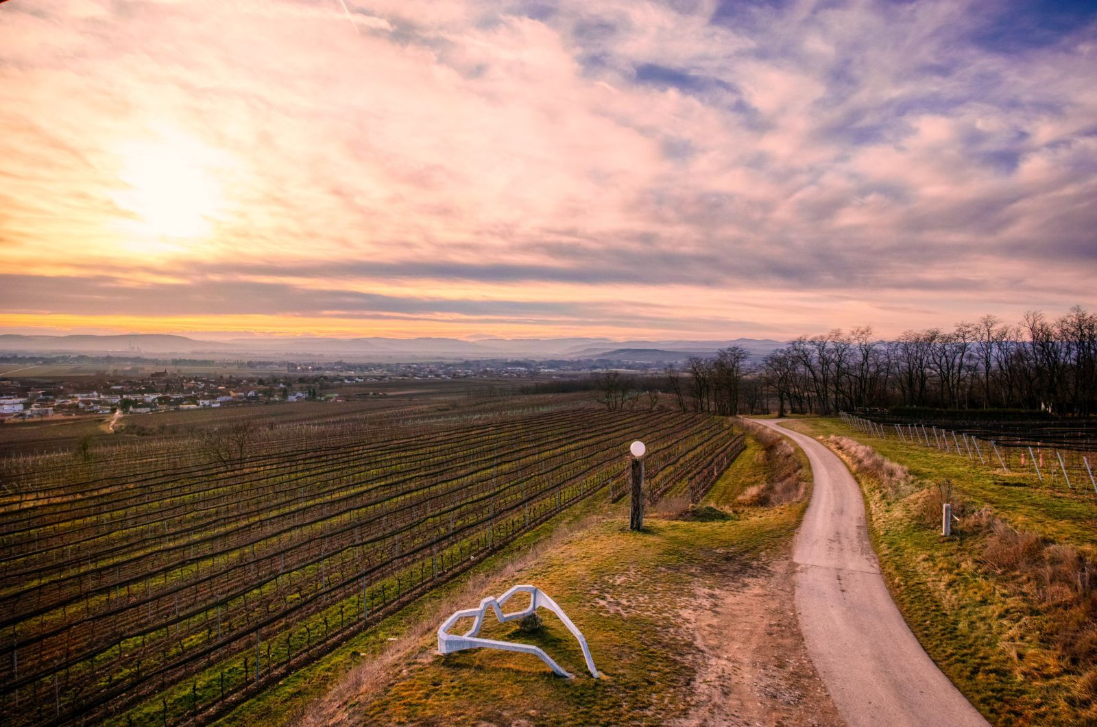 "tut gut" hiking trail Grafenegg - Route 3: Through the vineyards to the lookout tower of Engabrunn