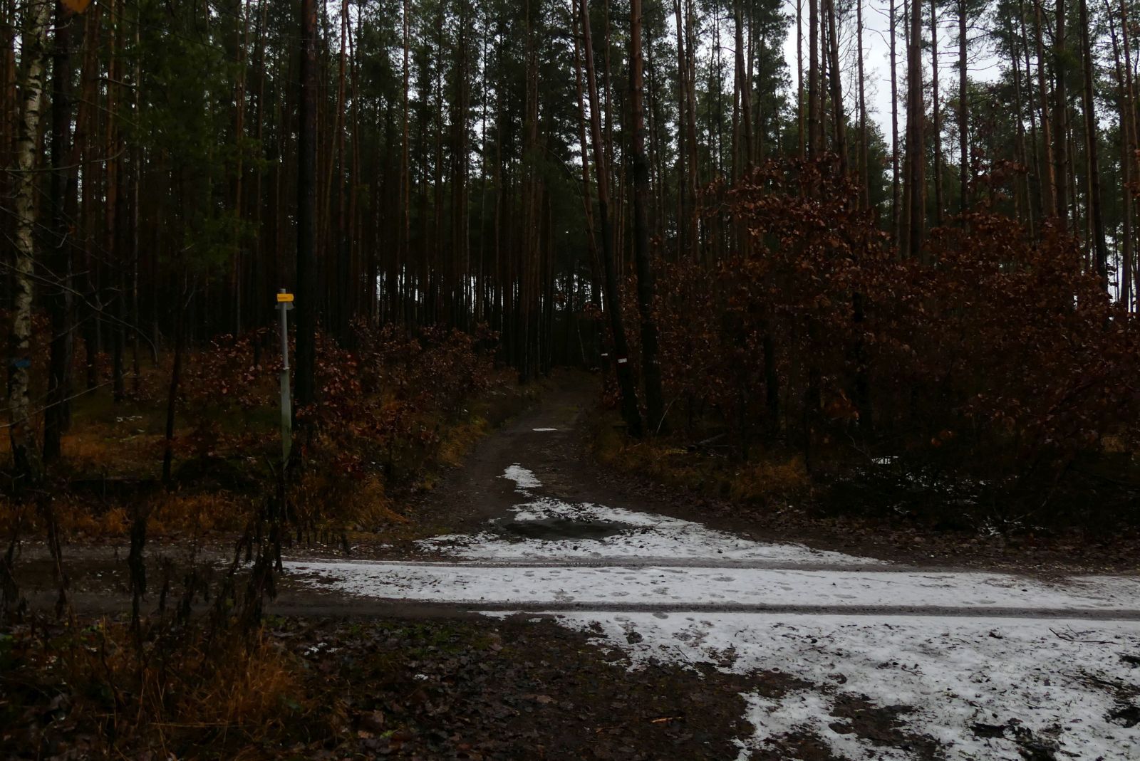 lengenfeld_018.jpg