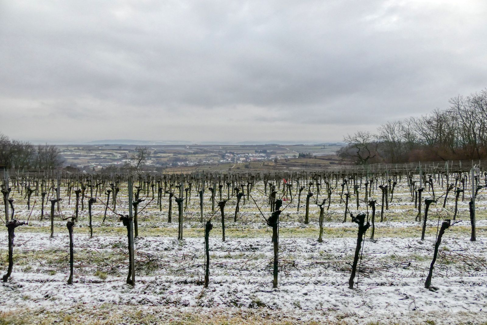 lengenfeld_019.jpg