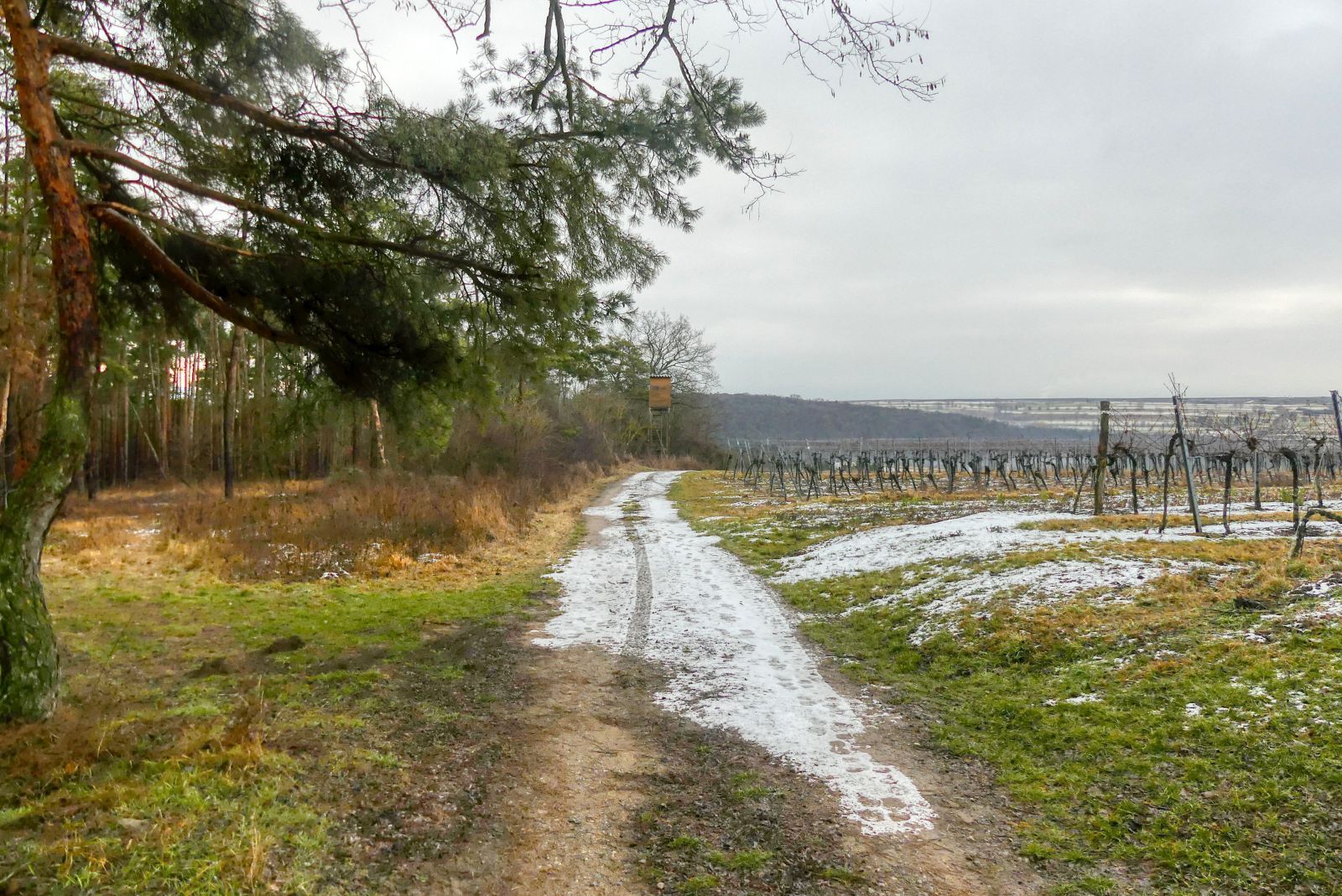 lengenfeld_022.jpg