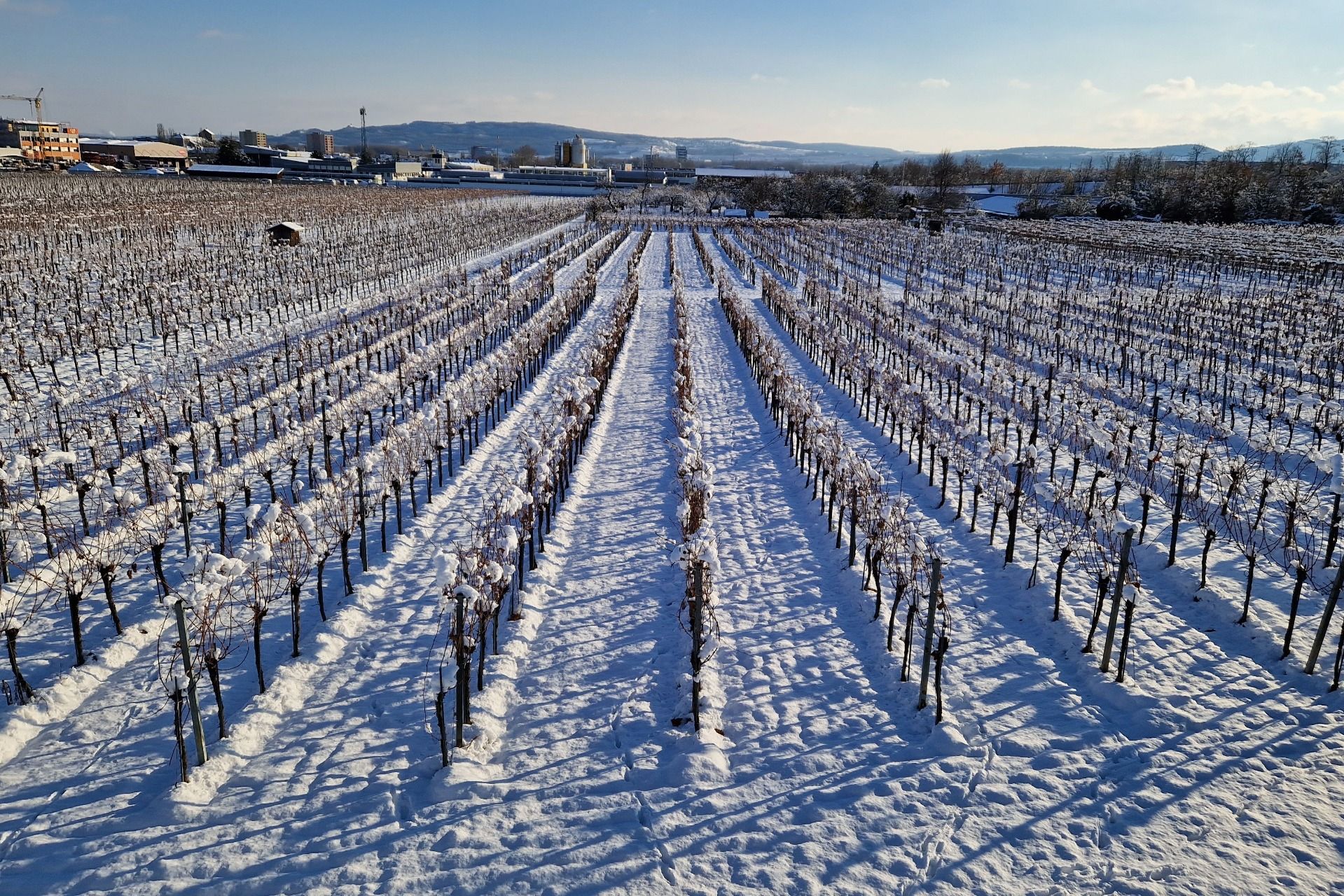 A winter walk to the Marthalbründl - a spring near Krems once considered as healing