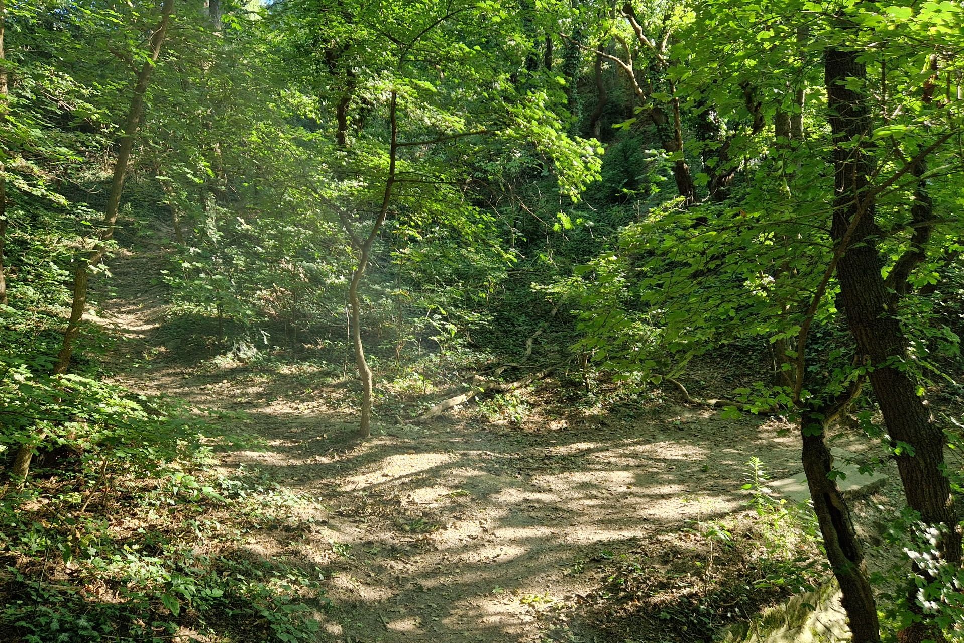 The "Donau-Rundweg" - a trail at the Danube River in Hainburg