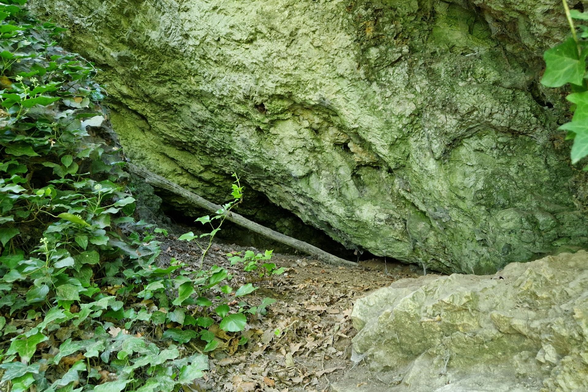 Arche-Noah-Halbhöhle