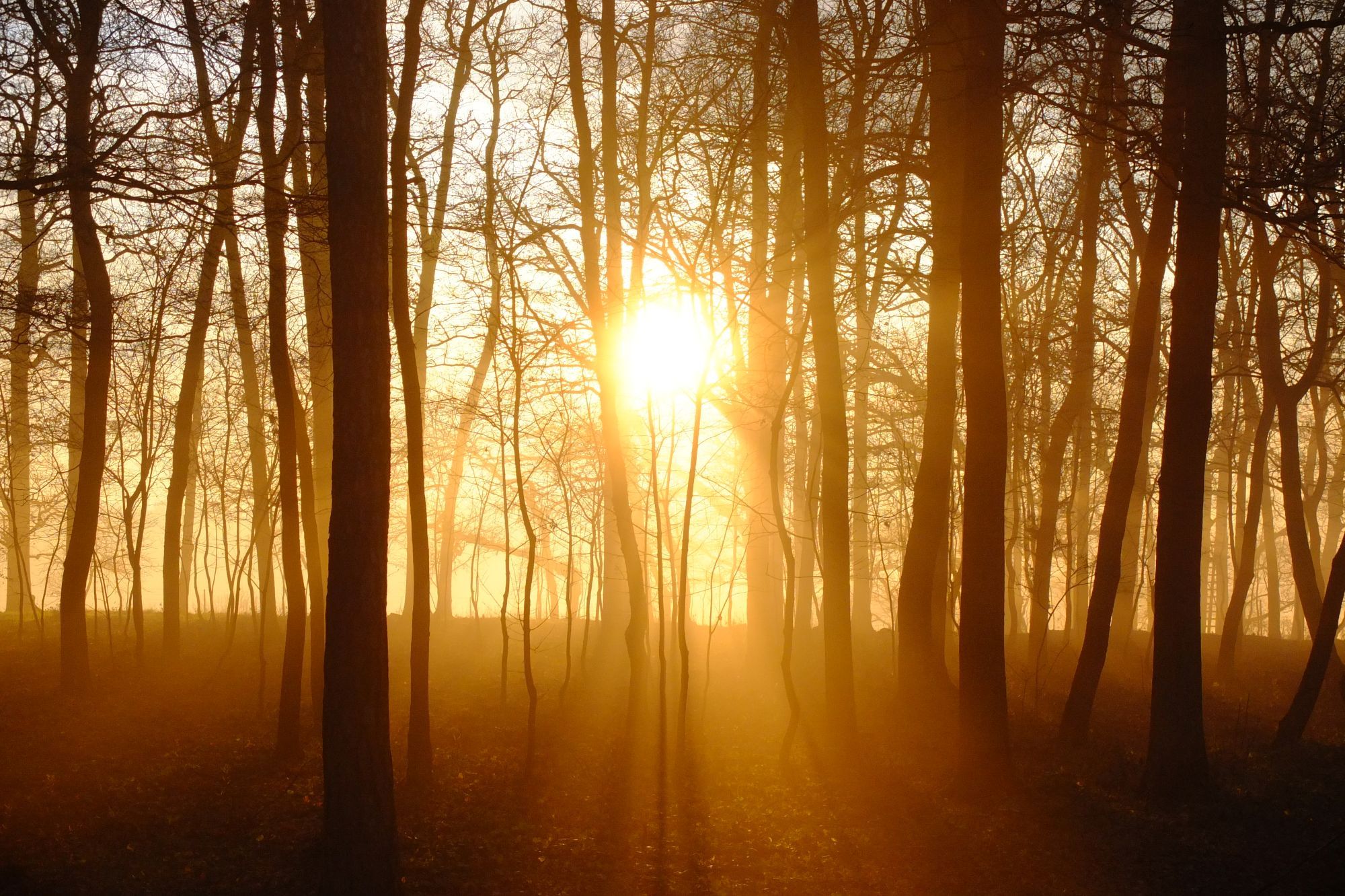 Sunset (2014)