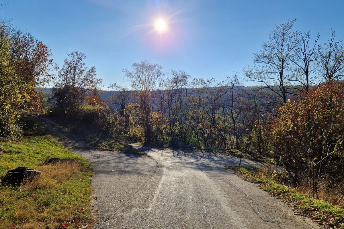 The "Imbach-Runde" in Senftenberg