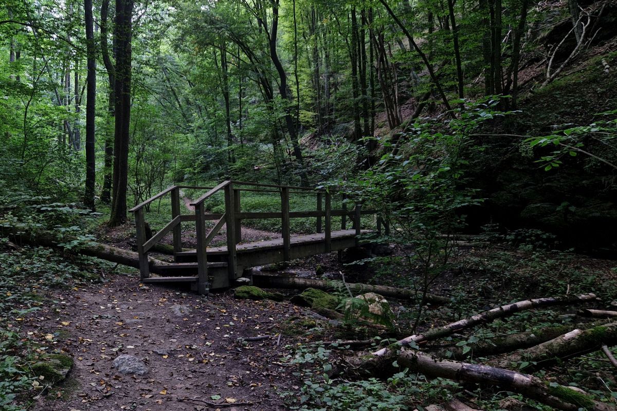 The "Kajaweg" in the Thayatal National Park