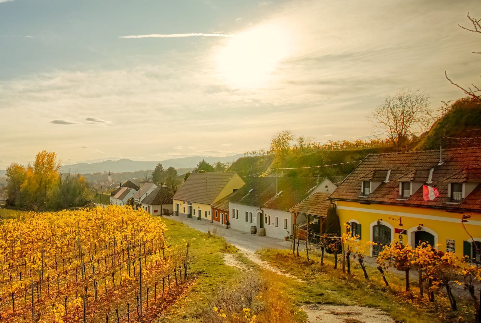 Austria's longest cellar alley