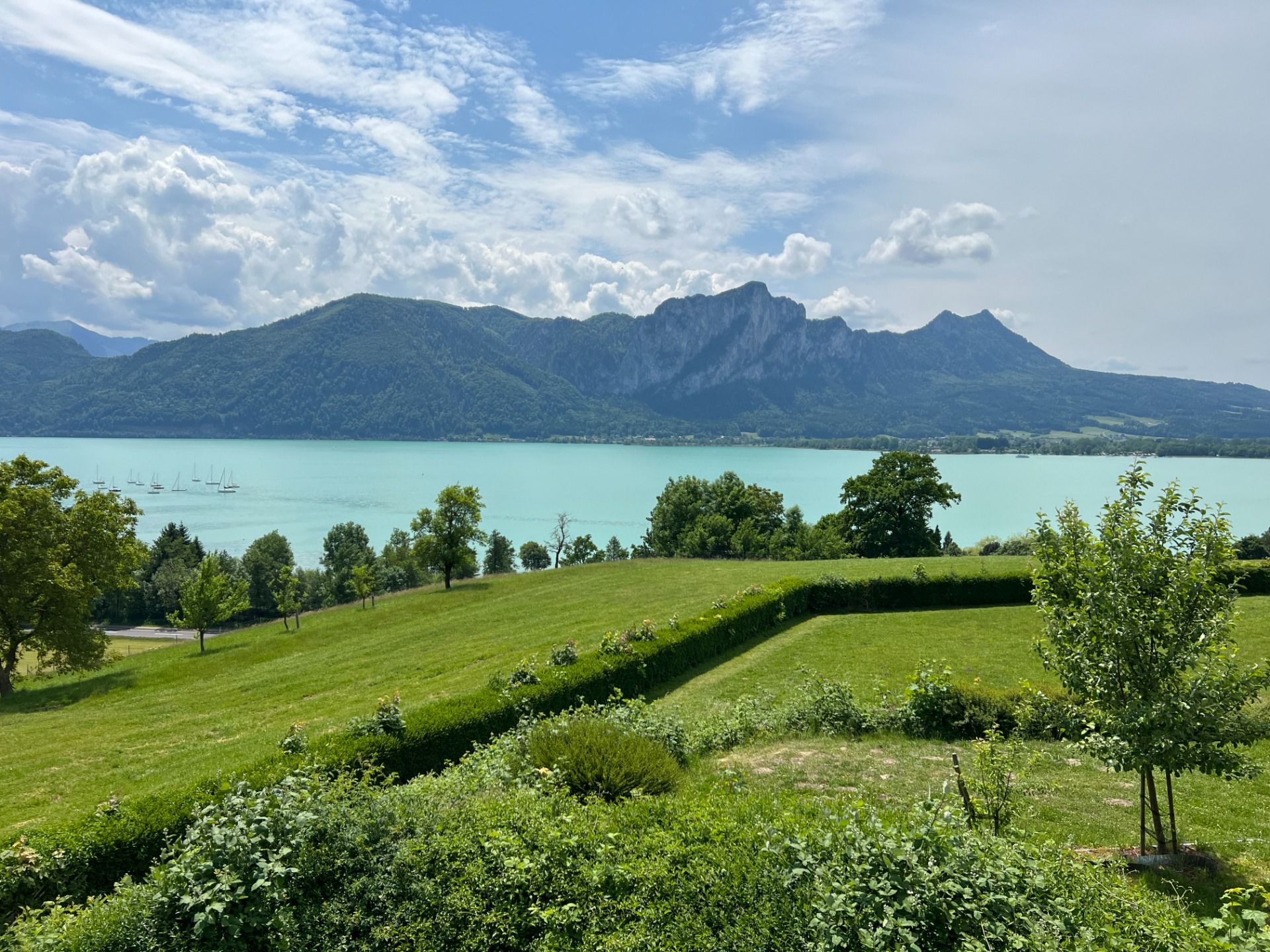 schmidi on tour - #tourlife

