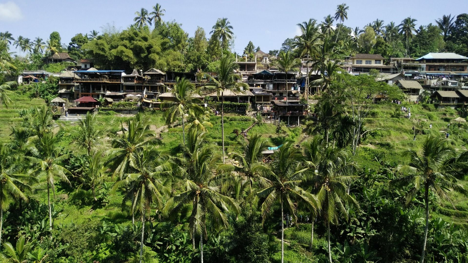 Tegallalang Rice Terrace