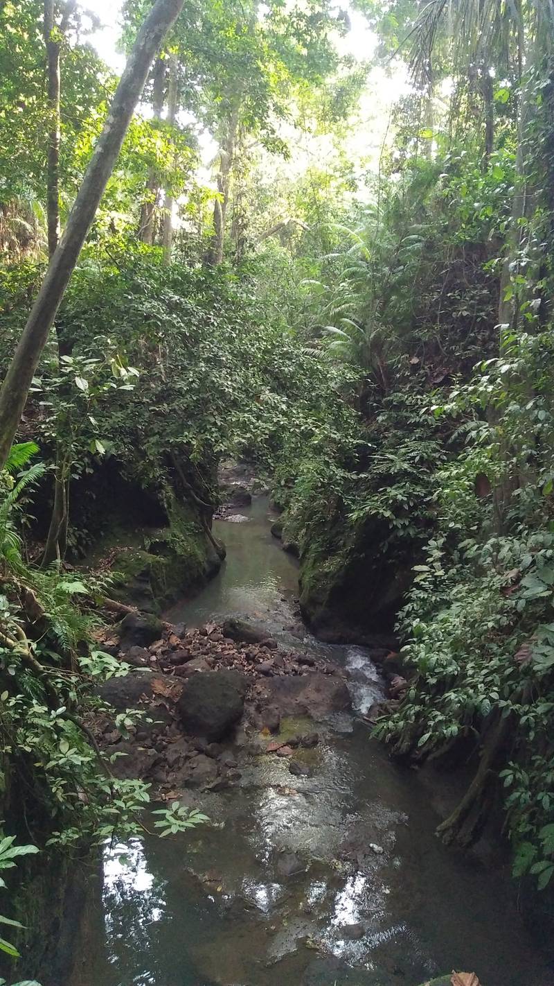 A stream runs through the ravine