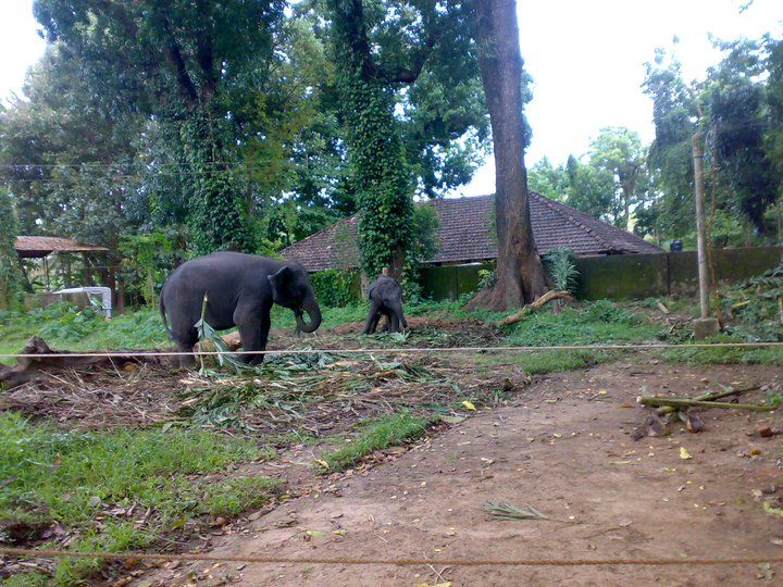 How to travel safely and enjoy your trip 