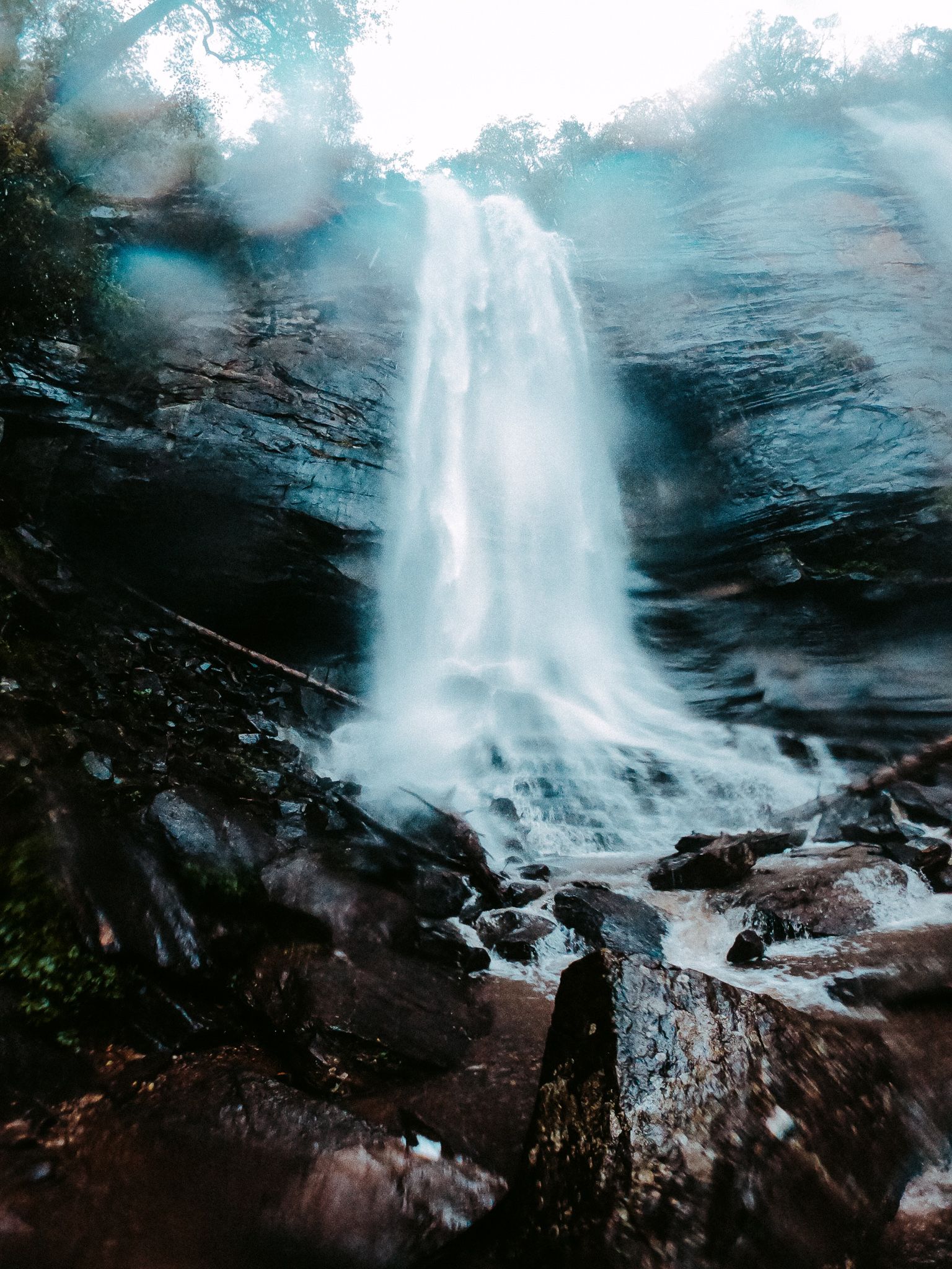 America - Weekly Round-Up #172