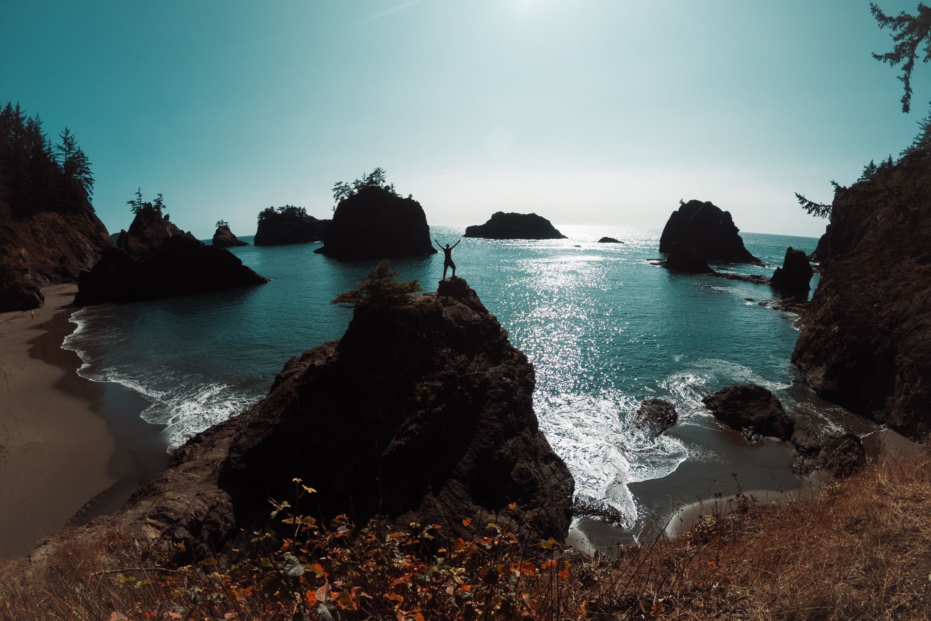 Pandemic Travel: Exploring the Oregon Coast