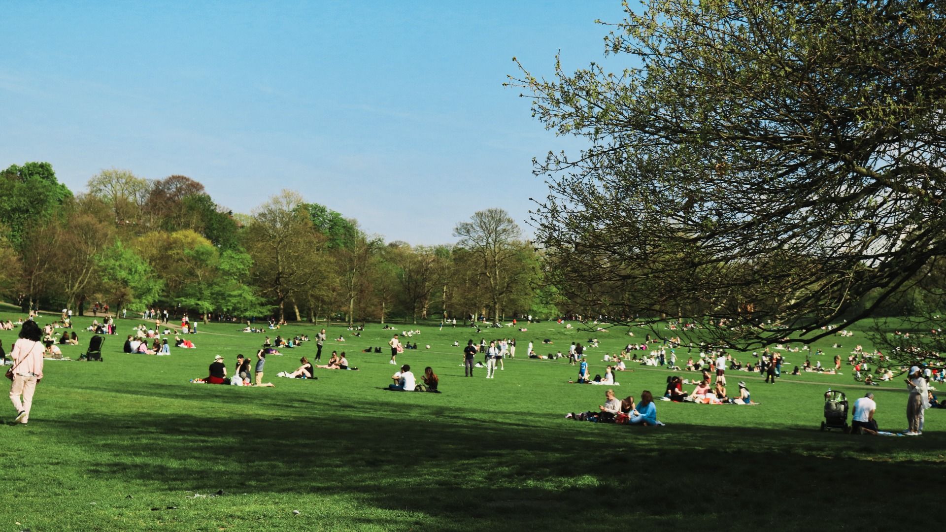 Park view and people enjoying the day