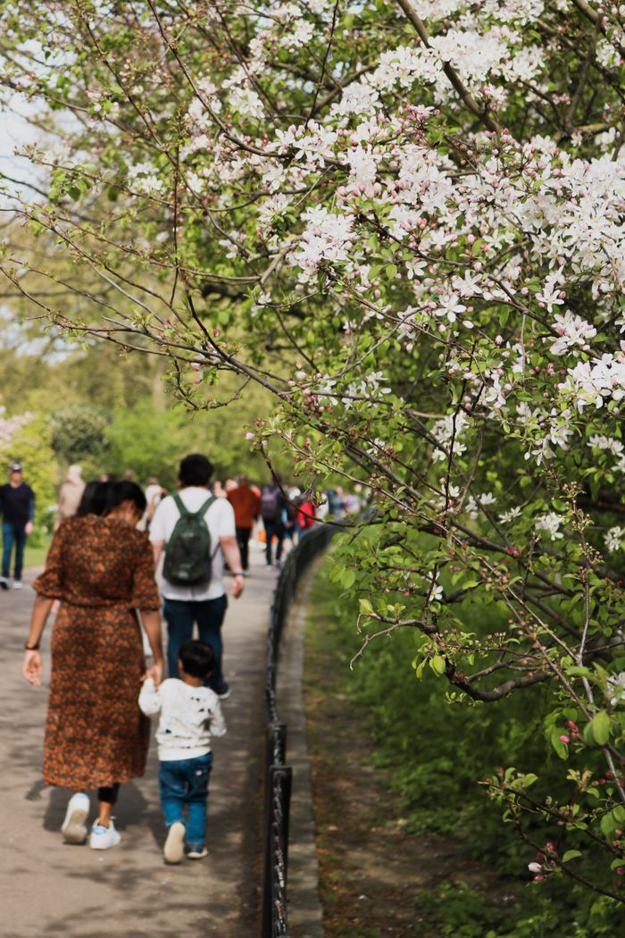 Great place for family walks