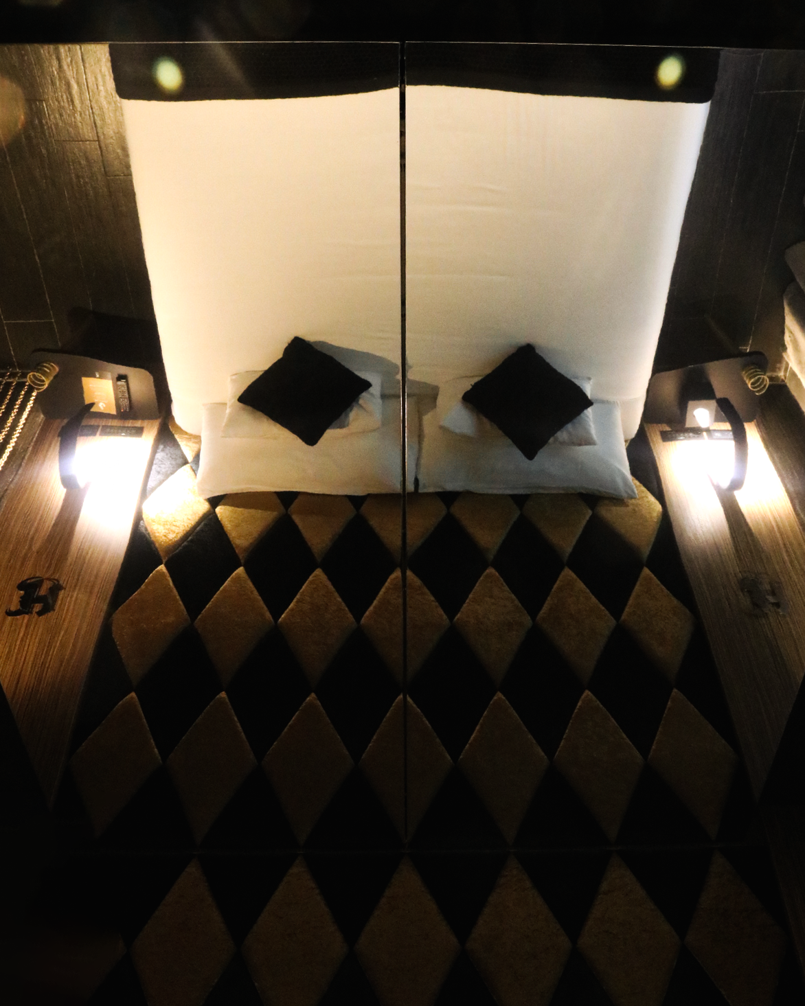The ceiling mirror