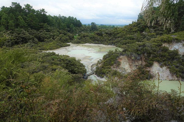 Thermal activity at Roturoa