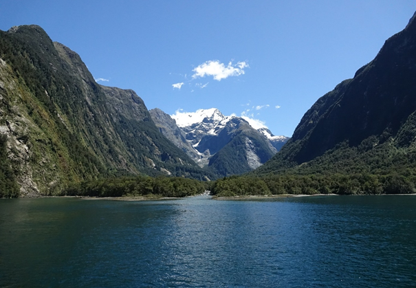 Milford Sounds