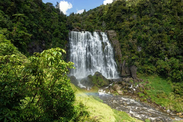 Waterfall near Waitomo
